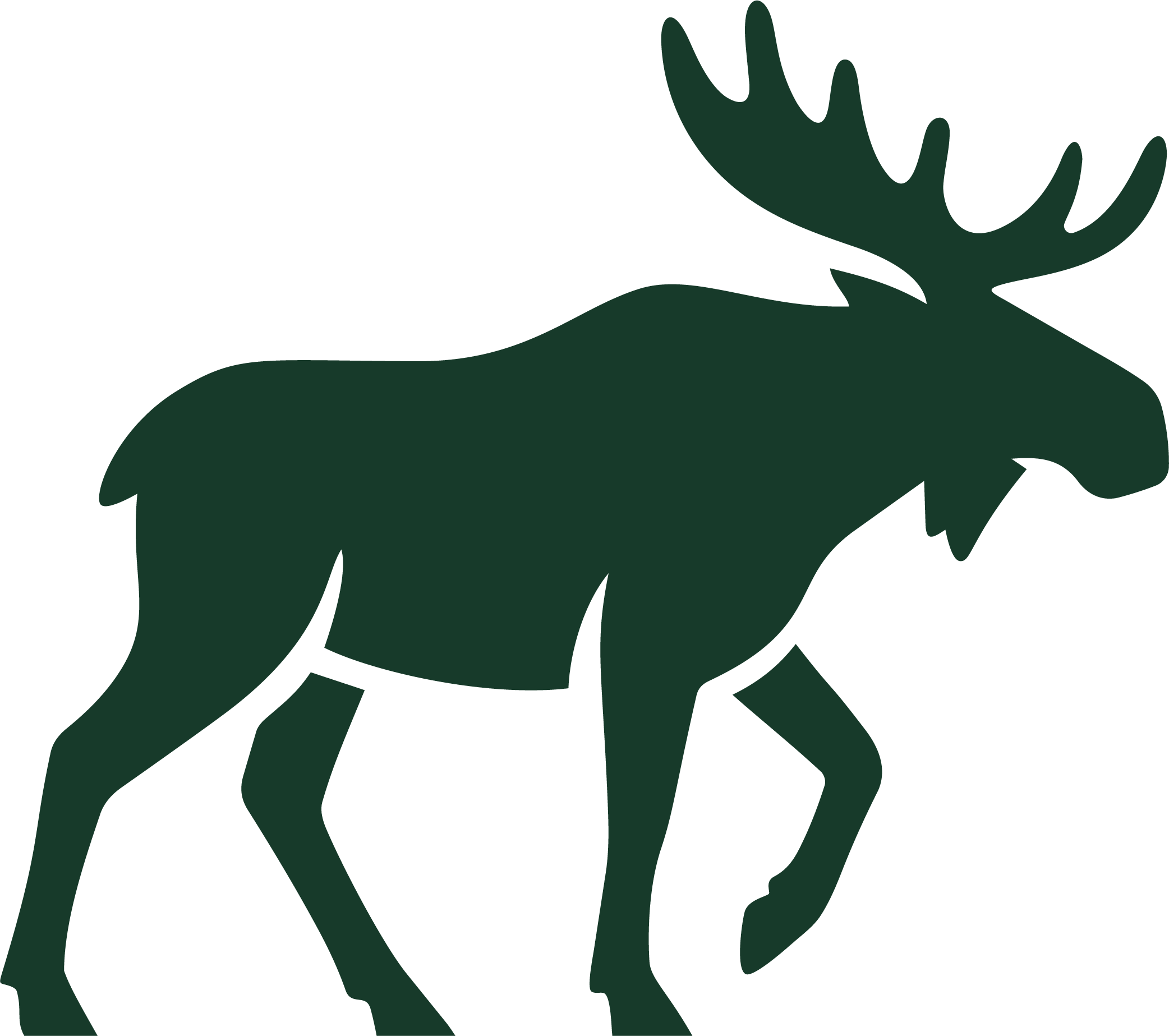 Northern Moose Coffee Co.